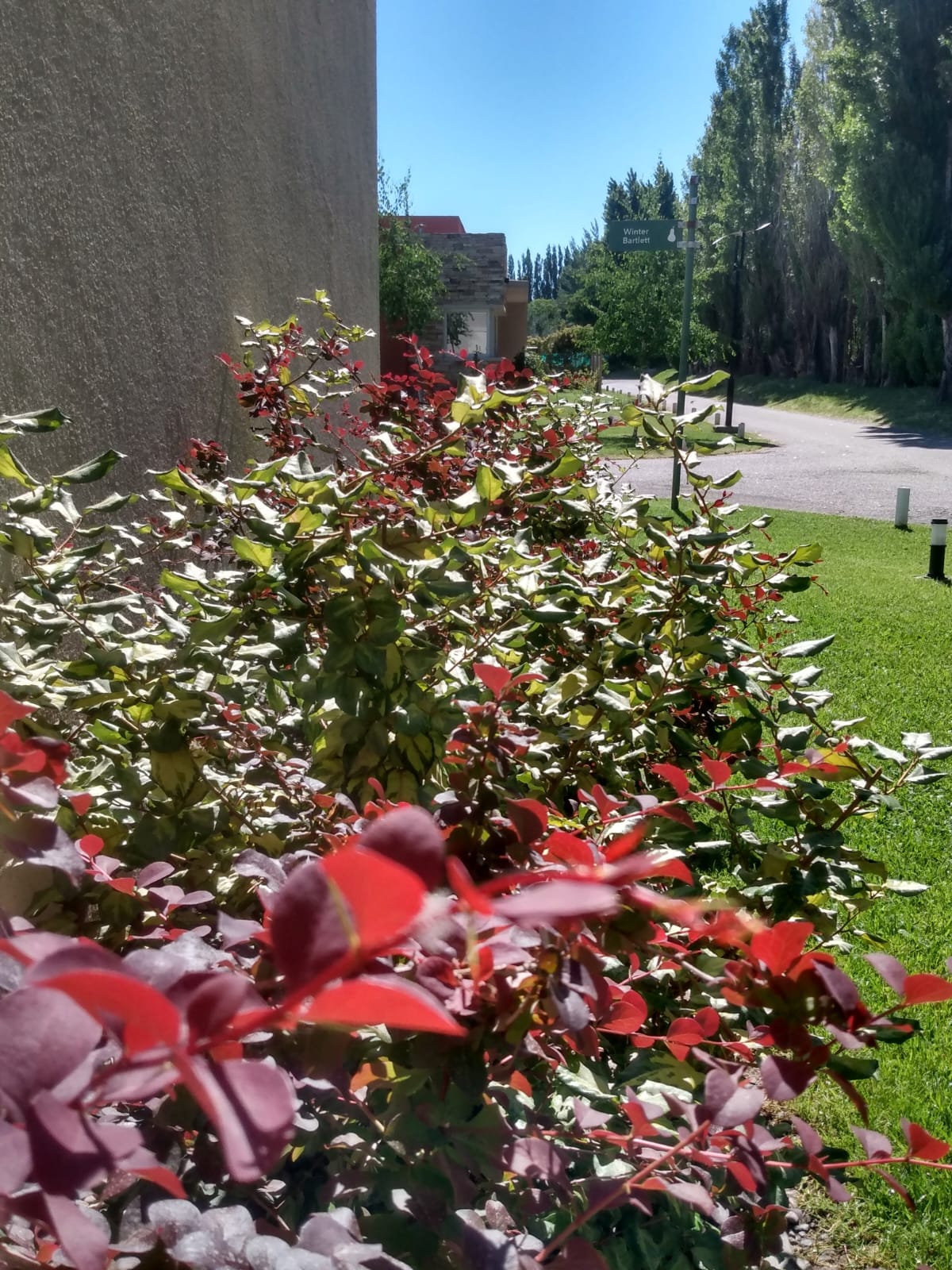 Paisajismo en Neuquén